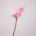 Fleur de calla rose artificielle tige unique pour décoration de maison arrangement floral - Rose Violet