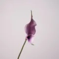 Lys calla artificiel de haute qualité fleur mauve fausse décoration photo accessoire. - Mauve Clair
