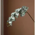 Τεχνητή Ορχιδέα Phalaenopsis Μονό Κλάδι Πράσινο Γκρι Ψεύτικο Λουλούδι Διακόσμηση - Γκρι Πράσινο