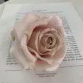 Artificial pink silk rose flower head for wedding decoration DIY craft floral supplies - Retro Pink
