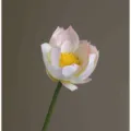 Realistic artificial lotus flower single stem for home decor and wedding photography prop - Large Lotus - Light Pink