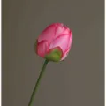 Artificial lotus flower bud fake floral home decor photography prop elegant design - Half-Open Lotus - Dark Pink