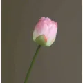 Artificial lotus flower bud pink single stem fake floral decor for home wedding photography props - Half-Open Lotus - Light Pink