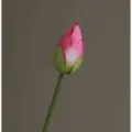 Artificial lotus flower bud fake plant for home decor wedding photography prop pink single stem - Lotus Buds - Deep Pink
