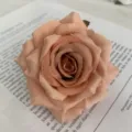 Artificial rose flower head silk floral DIY wedding home party decoration peach color - Paris Rose Head Deep Autumn Yellow