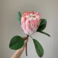Moderne Scandinavische kunstmatige Koningsprotea bloem, grote roze tropische interieurdecoratie. - Middel Perzikrood