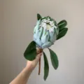 Kunstmatige groene koningsprotea bloem, tropische plant stengel decoratie voor huis kamer stijl. - Groen (Middel)
