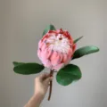 Realistische kunstmatige roze protea bloem variant tropische plant voor in huis - Middel Zonsondergang Rood