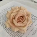 Artificial rose flower head fabric peach DIY wedding party box decoration craft supply item - Paris Rose Head Light Autumn Yellow