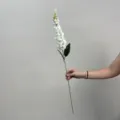 Gros plan détaillé d'une tige de fleur blanche artificielle avec des pétales et des feuilles. - Blanc