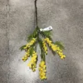 Fausse branche de mimosa artificiel fleurs jaunes en peluche pour décoration maison. - Acacia Branche Unique Winnie