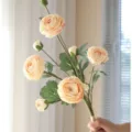 Artificial ranunculus flower bouquet peach silk peony variant for home decor display - Champagne