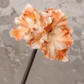 PU Clivia kunstbloem tak herfstkleur bruin 70cm decoratieve rekwisiet voor thuis - Koffie