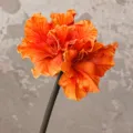Kunstmatige PU Clivia Bloem Oranje Variant 70cm Lang Realistisch Decoratie Artikel - Oranje