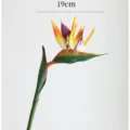 Artificial Strelitzia flower single branch faux Bird of Paradise decor 19cm piece - Yellow