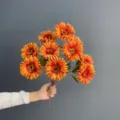 Künstlicher Gerbera Blumenstrauß, 10 Köpfe Seidenblumen für Heimdekoration Fotografie. - Sonnenuntergang