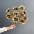 Künstlicher 10-Köpfe Gänseblümchen Chrysanthemen Blumenstrauß Heimdeko Foto-Requisite - Herbstbraun