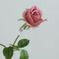 Artificial moist touch single rose flower for wedding decoration photography prop home table decor - Palm Powder