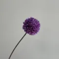Μonό τεχνητό μοβ λουλούδι allium με μακρύ στέλεχος για διακόσμηση σπιτιού και γάμους. - Βαθύ μωβ