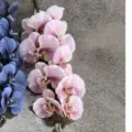 Τεχνητό λουλούδι ορχιδέας Phalaenopsis 9 κεφάλια διακόσμηση γάμου σπιτιού παραλλαγή - Ροζ Τριανταφυλλί