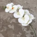 Λευκή τεχνητή ορχιδέα phalaenopsis μονόκλωνο 102cm για διακόσμηση σπιτιού και γάμου - Λευκό