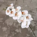 Τεχνητό κλαδί ορχιδέας Phalaenopsis 102cm σε ανοιχτό καφέ για διακόσμηση σπιτιού. - Ανοιχτό Καφέ