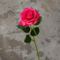 Artificial moisturizing rose flower single stem home decor hot pink length 43cm lightweight - Rose Red