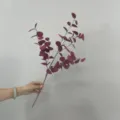 Ramo di eucalipto artificiale bordeaux, finte foglie scure per decorazione di nozze. - 60CM / Borgogna