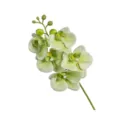 Τεχνητό πράσινο λουλούδι ορχιδέας phalaenopsis μεμονωμένο στέλεχος για διακόσμηση σπιτιού. - Πράσινο