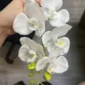 Finta orchidea Phalaenopsis bianca a stelo singolo per una bellissima decorazione casa - Bianco puro