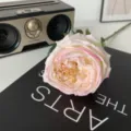 Τεχνητό Austin Rose Λουλούδι Μονό Κεφάλι Μετάξι Παιώνια Διακόσμηση Σπιτιού Σχέδιο - Σαρκί ροζ