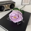 Finto fiore di rosa Austin artificiale, variante di peonia idratante di qualità. - Viola chiaro