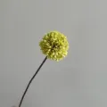 Artificial Allium Flower Stem Fake Chrysanthemum for Wedding Table Decor and Photo Props - Green