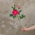 Artificial rose flower branch, rose red color, approx 70cm length, soft touch decor fake flower. - Rose Red