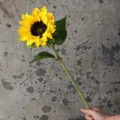 Tournesol artificiel tige unique jaune 80cm fausse fleur pour décoration maison accessoire photo - Tige Unique Tournesol / Jaune