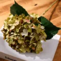 Fiore di ortensia artificiale ramo singolo fiore finto per decorazione casa matrimonio - Verde mela