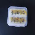 Fly fishing hooks mosquito set boxed artificial bait lures for trout bass micro gear. - Boxed Bee Hooks 10 Pcs