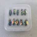 Fly fishing lure set with holographic wings and green insect body packed in clear plastic box. - Size 12 / Boxed Winged Fly Hooks 10 Pcs