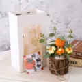 Hand-woven crochet persimmon potted plant gift set with white paper bag and greeting card. - Small Wooden Base - Persimmon (Single Flower)