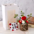 Handmade knitted flower potted plant with gift bag, perfect birthday gift for women and teachers. - Small Wooden Base - Apple (Single Flower)