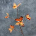 3D printed butterfly branch decoration for home decor showcase display and photography props - 5 Large Heads 11