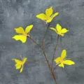 Yellow butterfly artificial floral branch decor, realistic 3D butterfly home ornament variant. - 5 Small Heads 5