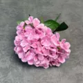 Artificial pink hydrangea flower heads with green leaves for wedding and home decor. - Pink