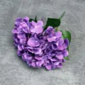 Close-up detail view of purple artificial hydrangea flower head with realistic petals and green leaves. - Purple