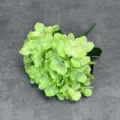 Close-up detail of artificial green hydrangea flower bunch for home decor and wedding arrangement. - Green