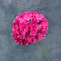 Artificial pink lollipop hydrangea flower stem for home decor and wedding arrangement. - Rose Red
