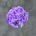 Purple artificial hydrangea flower stem, realistic faux silk floral for home decor and wedding. - Deep purple