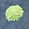 Artificial green hydrangea flower head simulation lollipop floral home wedding decor - Light Green
