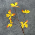 Artificial butterfly flower branch home window decoration shooting props fake floral ornament - 5 Large Heads 10