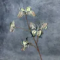 3D printed butterfly branch decoration home decor simulation flower photography prop - 5 Large Heads 2